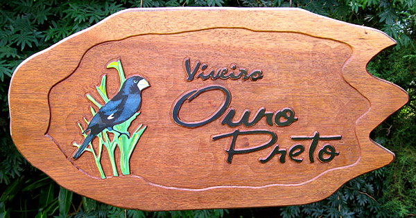 Placa para viveiro do pssaro canoro BICUDO  (Oryzoborus maximiliani)em Cotia - SP.